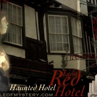 التاريخ الغريب لفندق الأسد الأحمر